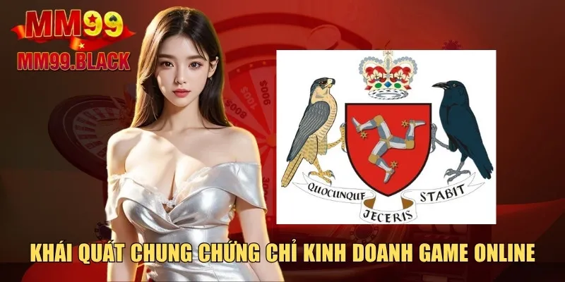 Khái quát chung chứng chỉ kinh doanh game online